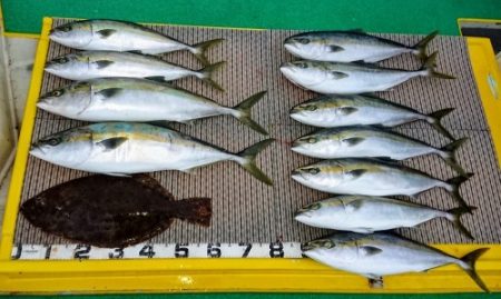 火遠理丸（ほおりまる） 釣果