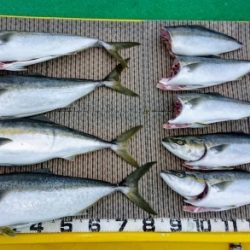 火遠理丸（ほおりまる） 釣果