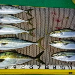 火遠理丸（ほおりまる） 釣果