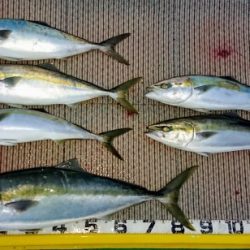 火遠理丸（ほおりまる） 釣果