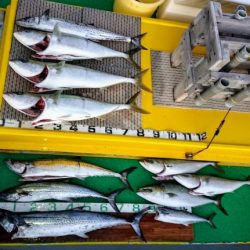 火遠理丸(ほおりまる) 釣果