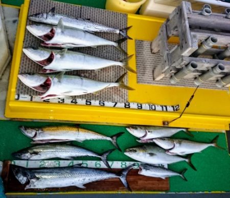 火遠理丸（ほおりまる） 釣果