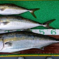 火遠理丸(ほおりまる) 釣果