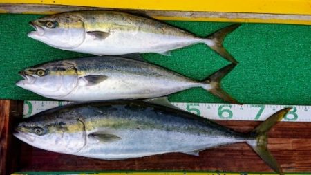 火遠理丸(ほおりまる) 釣果