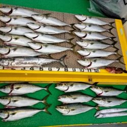 火遠理丸(ほおりまる) 釣果