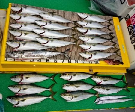 火遠理丸（ほおりまる） 釣果