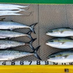 火遠理丸（ほおりまる） 釣果