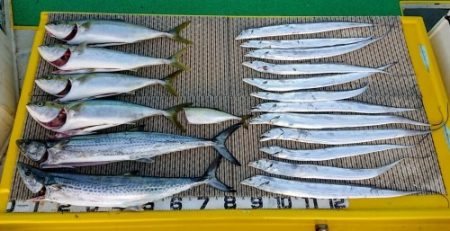 火遠理丸（ほおりまる） 釣果