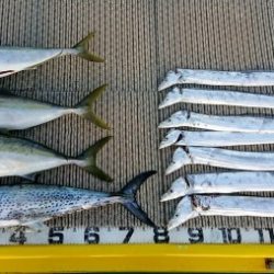 火遠理丸（ほおりまる） 釣果