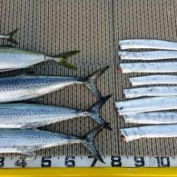 火遠理丸（ほおりまる） 釣果