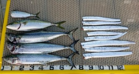 火遠理丸（ほおりまる） 釣果