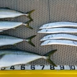 火遠理丸（ほおりまる） 釣果