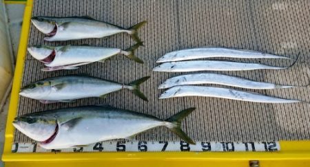 火遠理丸（ほおりまる） 釣果