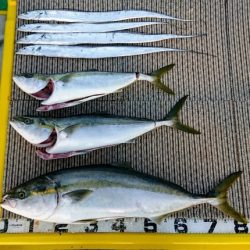 火遠理丸（ほおりまる） 釣果