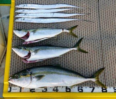 火遠理丸（ほおりまる） 釣果