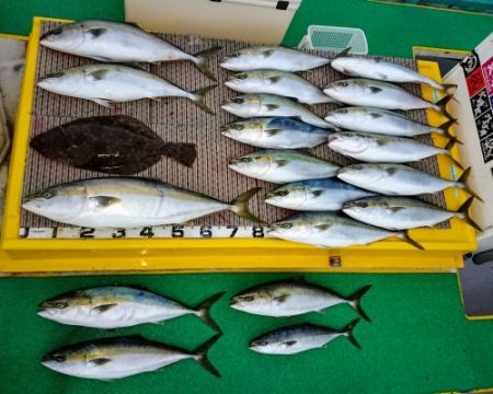 火遠理丸（ほおりまる） 釣果
