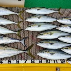 火遠理丸（ほおりまる） 釣果