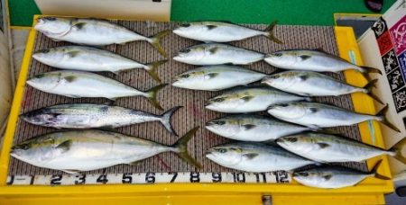 火遠理丸（ほおりまる） 釣果