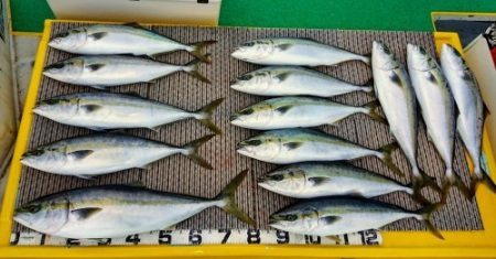 火遠理丸（ほおりまる） 釣果