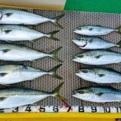 火遠理丸（ほおりまる） 釣果