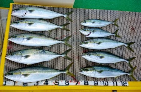 火遠理丸（ほおりまる） 釣果