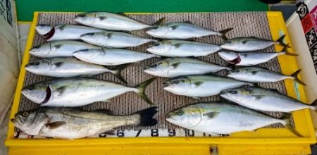 火遠理丸（ほおりまる） 釣果