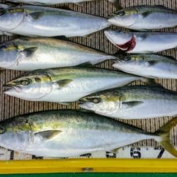 火遠理丸(ほおりまる) 釣果