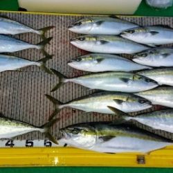 火遠理丸(ほおりまる) 釣果