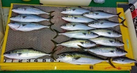 火遠理丸(ほおりまる) 釣果