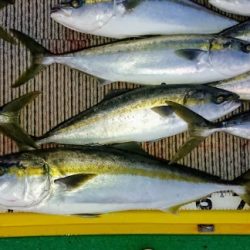 火遠理丸(ほおりまる) 釣果