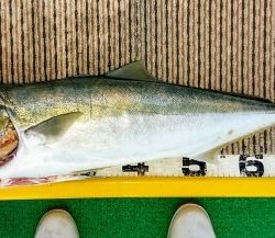 火遠理丸(ほおりまる) 釣果