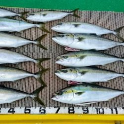 火遠理丸（ほおりまる） 釣果