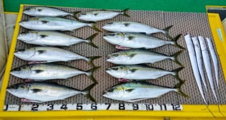 火遠理丸（ほおりまる） 釣果