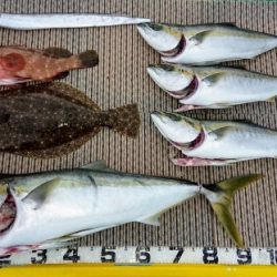 火遠理丸（ほおりまる） 釣果