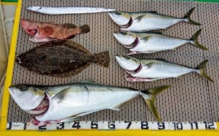 火遠理丸（ほおりまる） 釣果