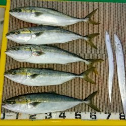 火遠理丸（ほおりまる） 釣果