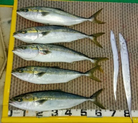 火遠理丸（ほおりまる） 釣果