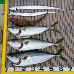 火遠理丸（ほおりまる） 釣果