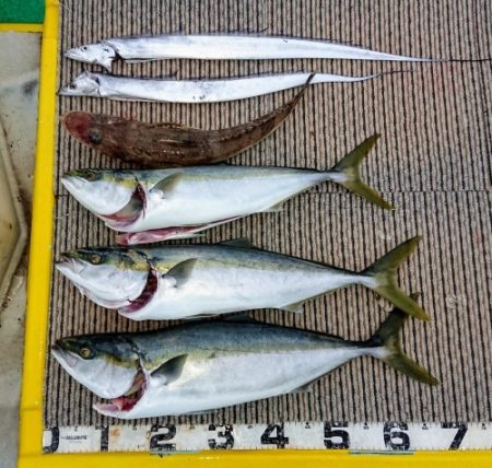 火遠理丸（ほおりまる） 釣果