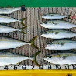 火遠理丸（ほおりまる） 釣果