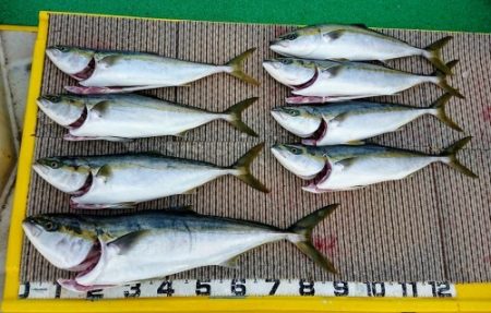 火遠理丸（ほおりまる） 釣果