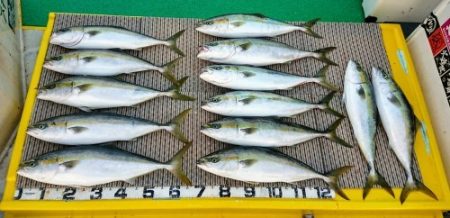 火遠理丸(ほおりまる) 釣果