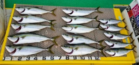 火遠理丸(ほおりまる) 釣果