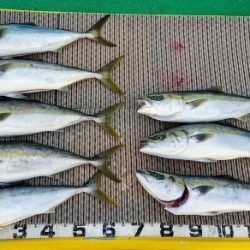 火遠理丸(ほおりまる) 釣果