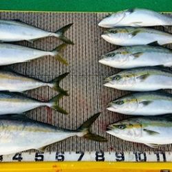 火遠理丸(ほおりまる) 釣果