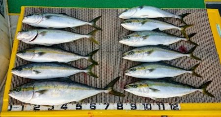 火遠理丸(ほおりまる) 釣果