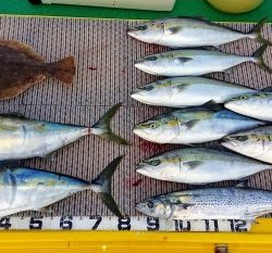 火遠理丸(ほおりまる) 釣果