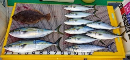 火遠理丸(ほおりまる) 釣果