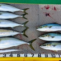 火遠理丸(ほおりまる) 釣果