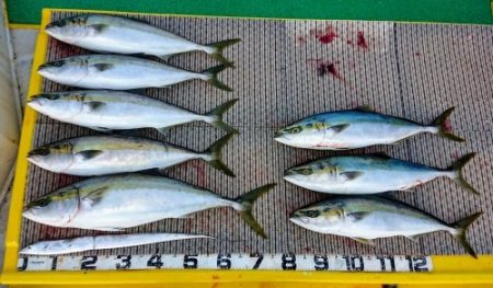 火遠理丸(ほおりまる) 釣果